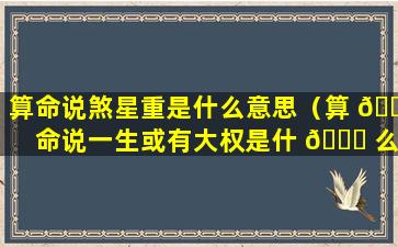 算命说煞星重是什么意思（算 🐋 命说一生或有大权是什 🐘 么意思）